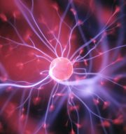 Hal Gatewood OgvqXGL7XO4 Unsplash